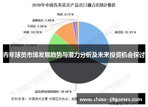 青年球员市场发展趋势与潜力分析及未来投资机会探讨